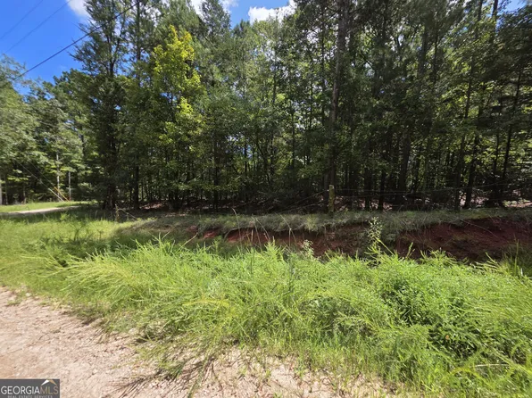 0 Tim Prince Dr, Elberton, GA 30635