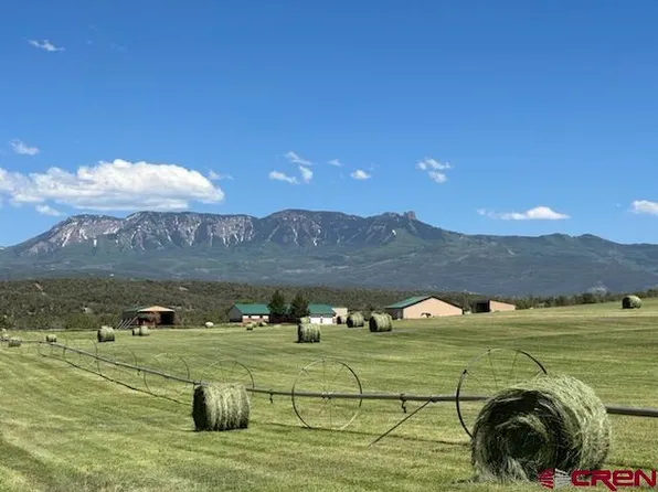38832 Fruitland Mesa Road, Crawford, CO 81415