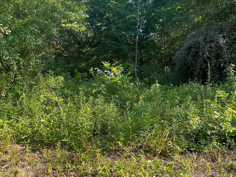 1st image of 166 Douglas Street