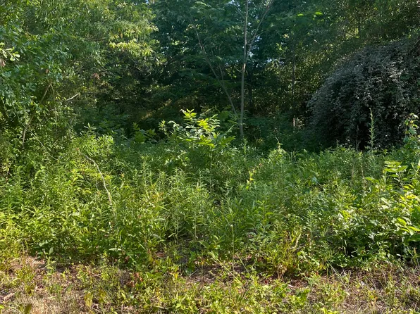 166 Douglas Street, Laurinburg, NC 28352