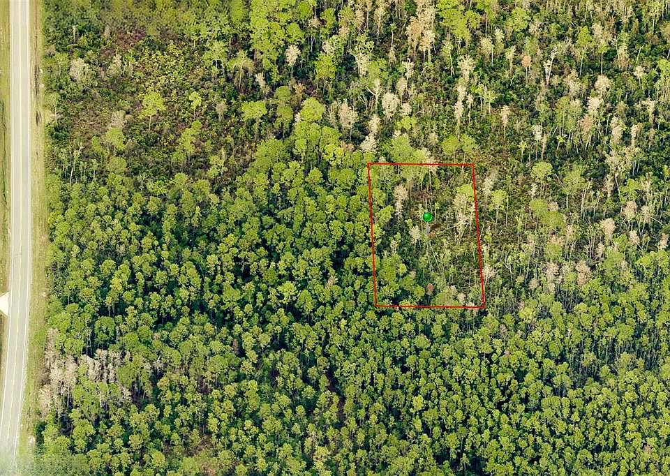 2nd image of LOT Two