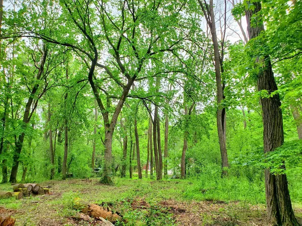 LOT 2 Chestnut St, Marine On Saint Croix, MN 55047
