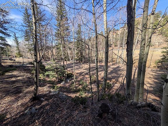 2nd image of 386 Brook Dr