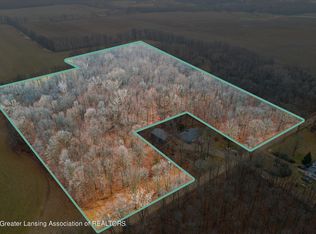 0 W Mead Rd, Saint Johns, MI 48879