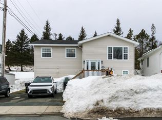 28 Bellevue Crescent, St.John's, NL A1E5T6