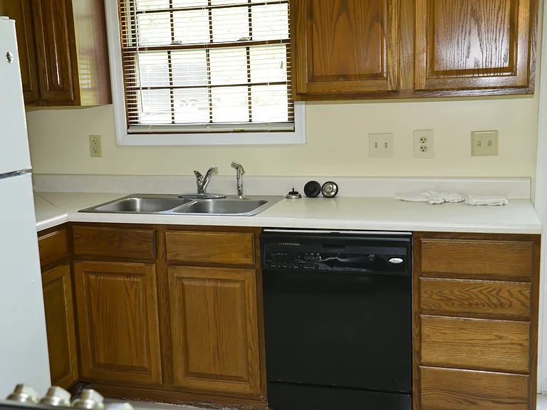 Dishwasher, New Kitchen Faucet with New Garbage Disposal