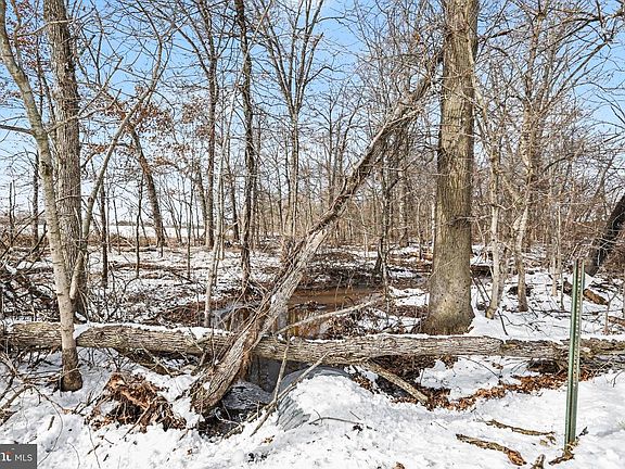 4th image of 298 Tapeworm Rd