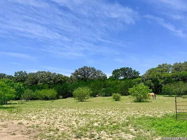 3 bed, 2.0 bath, 1560 sqft, $1,100 — Photo 4