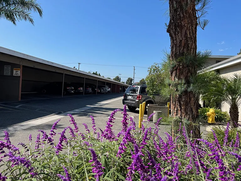Carports located on the south side of the property