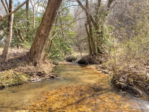 Pack Creek Rd, Blue Ridge, GA 30513