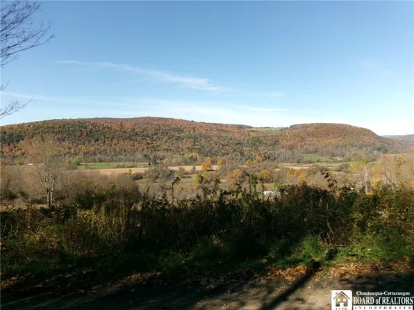 Ripple Rd N, Norwich, NY 13815