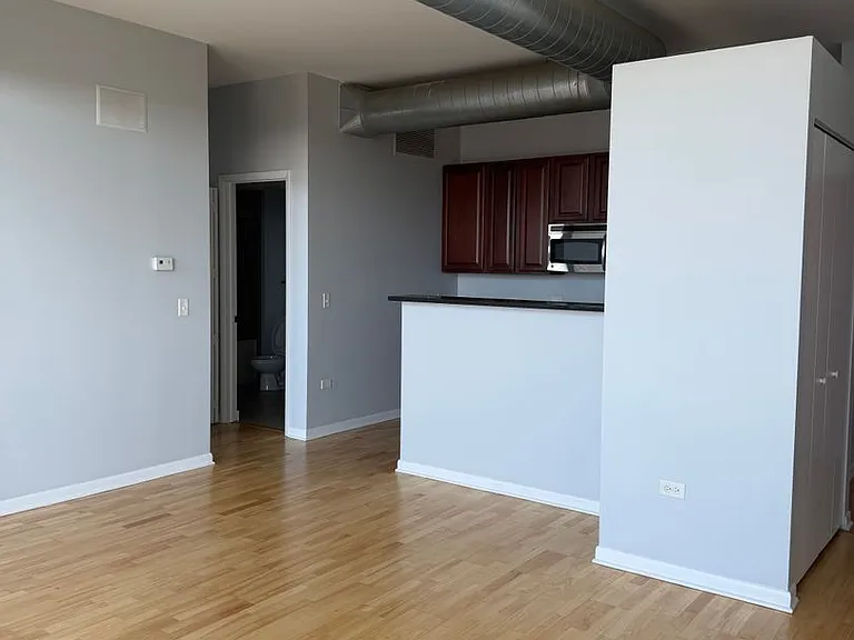 1550 S Blue Island Ave #1211 — Photo 9
