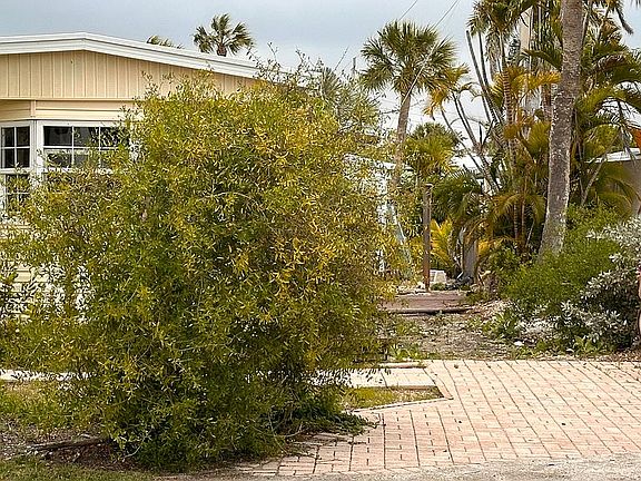 3rd image of 1119 Periwinkle Way #312