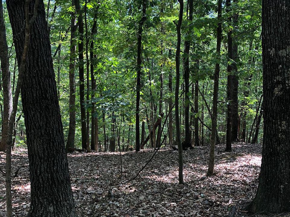 1st image of Otter Creek Dr