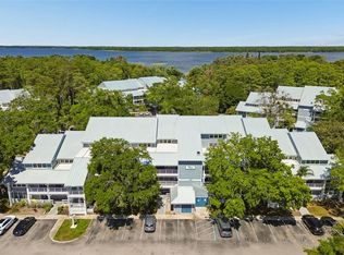 2599 DOLLY BAY DRIVE #302, PALM HARBOR, FL 34684