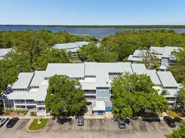 2599 Dolly Bay Dr APT 302, Palm Harbor, FL 34684