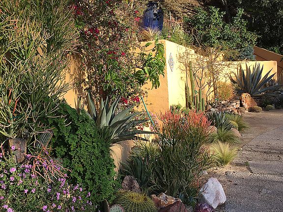 Garden along street level
