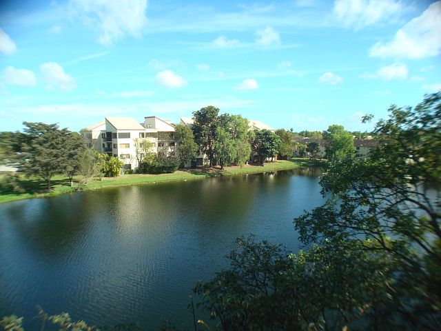 View from the apartment. 