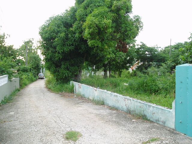 2nd image of SR 119 Km. #8.9