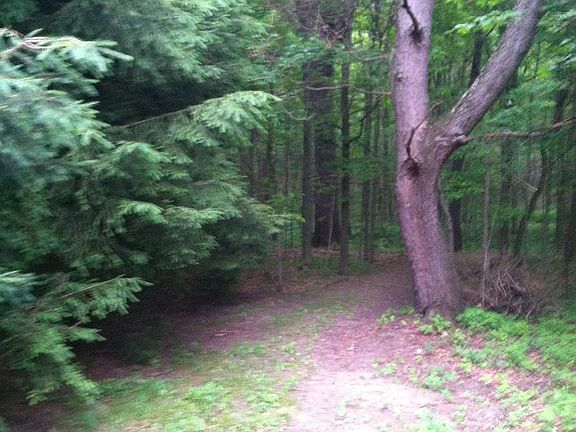 3rd image of 12651 Grand River Drive