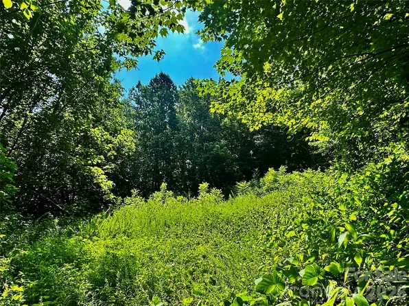75 W Fork Creek Rd, Saluda, NC 28773