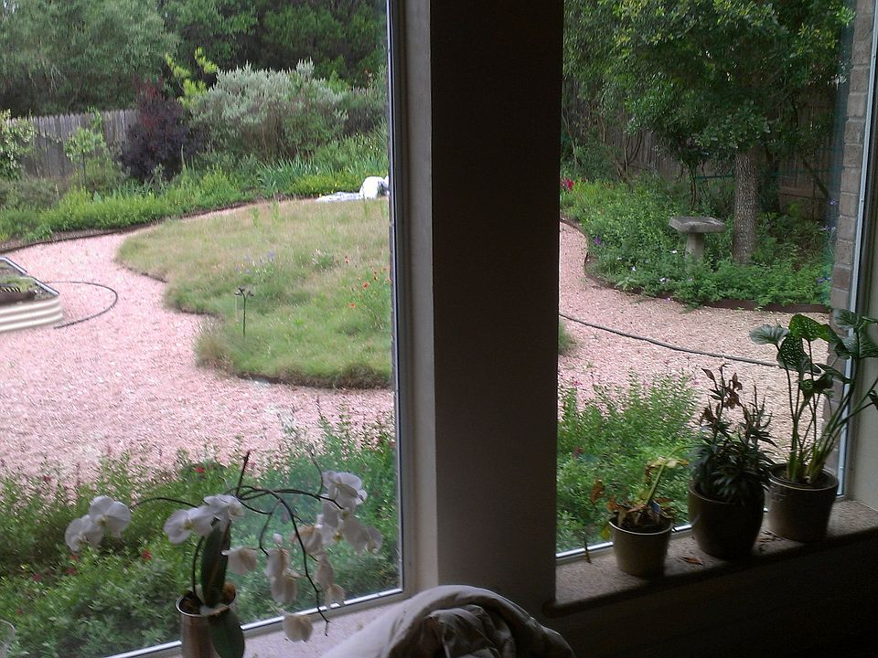backyard from family rm