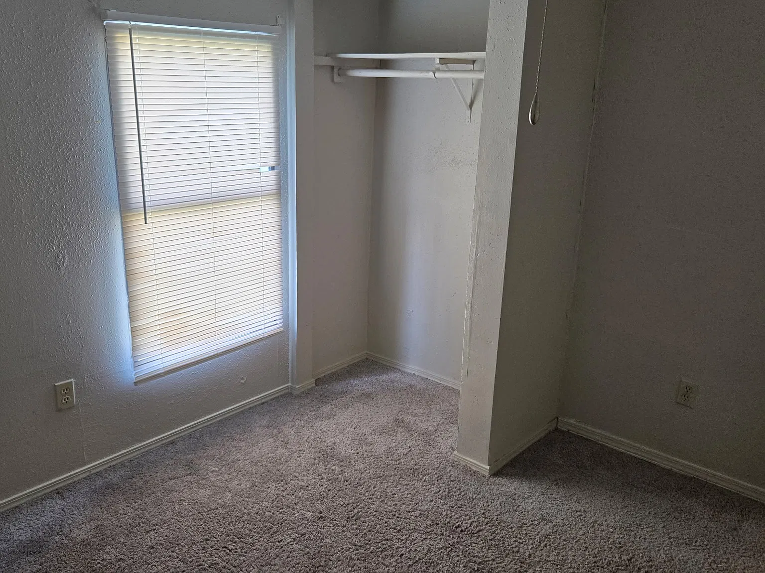 3 bed, $1,500 — Photo 4