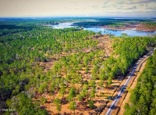 203 Paradox Point Drive, Aurora, NC 27806