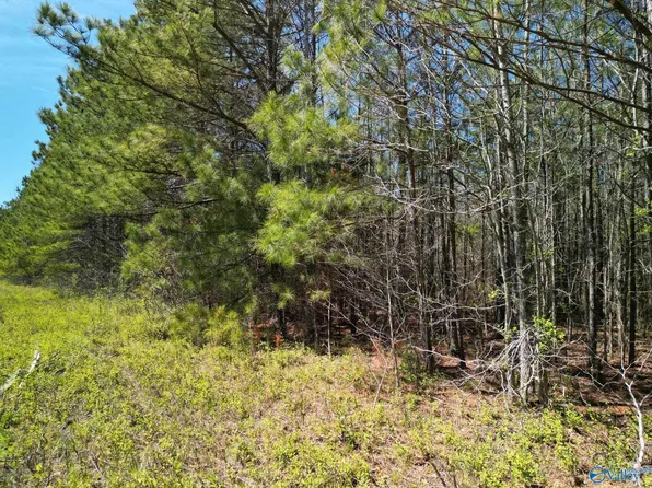 1 New Garden Rd, Elkmont, AL 35620