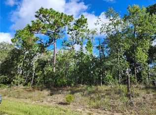 6741 N Darlington Dr, Citrus Springs, FL 34434