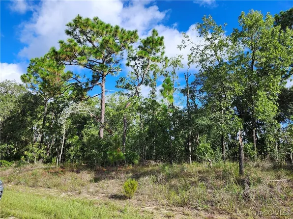 6741 N Darlington Dr, Citrus Springs, FL 34434
