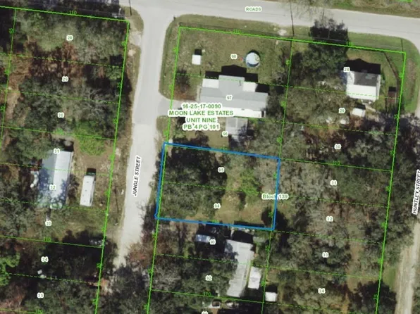 17-25-16-0090-13 Jungle St, New Pt Richey, FL 34654