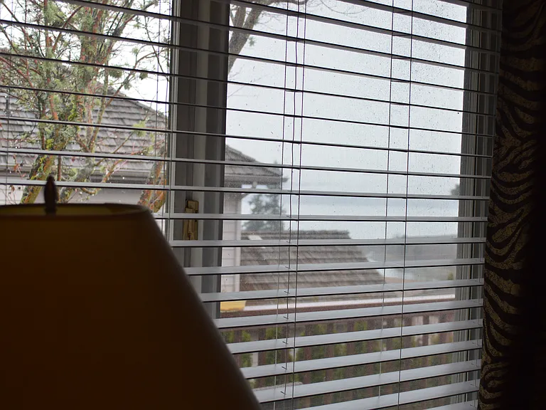 Master Bedroom view of Pugent Sound