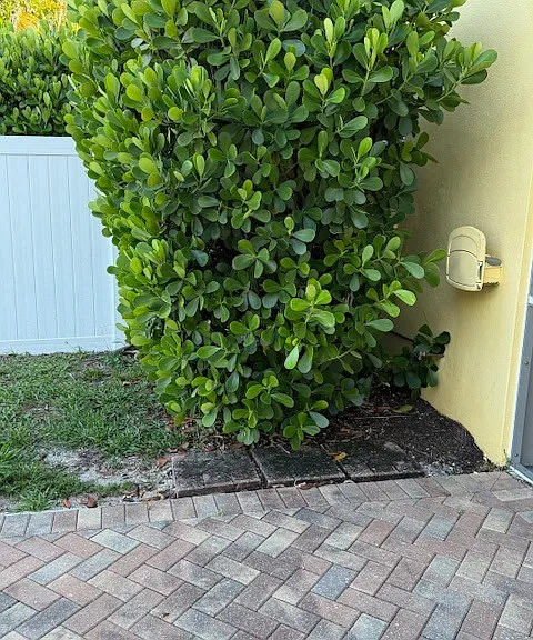 1201 Solana Rd #5 — Photo 5