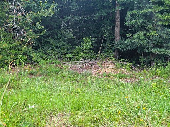 Old road entering the property.