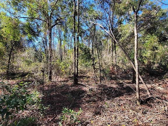 2nd image of Lot 2 NE 796th St