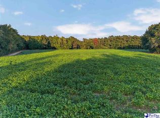 Lum Vereen Rd Tract 2C, Nichols, SC 29581
