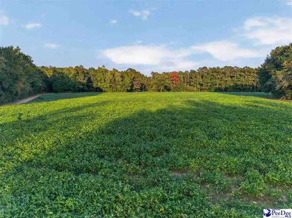Lum Vereen Rd Tract 2C, Nichols, SC 29581