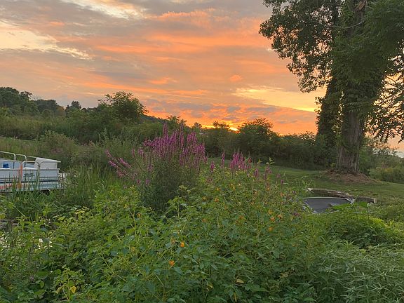 Serene Michigan Sunsets