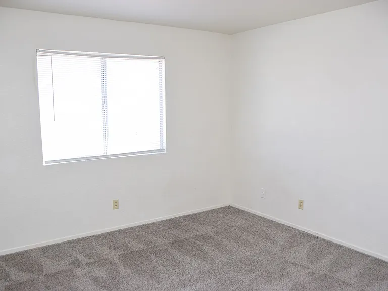 1360 Pacific Terrace Dr — Photo 30