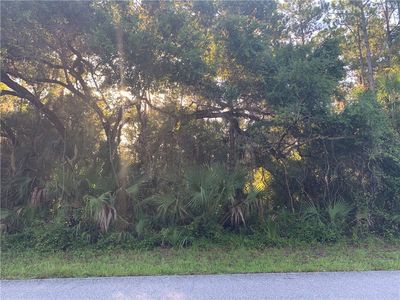 346 Wyatt St, Port Charlotte, FL, 33954