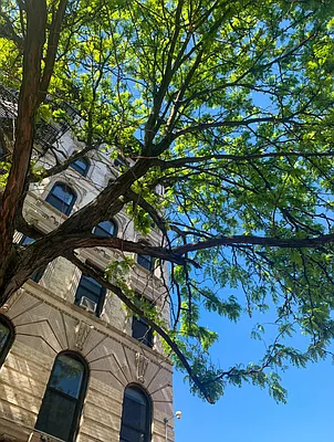 Rented by Dallien Realty Limited Liability Company | media 47