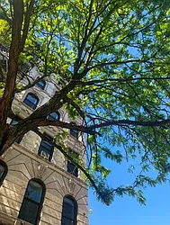 Rented by Dallien Realty Limited Liability Company