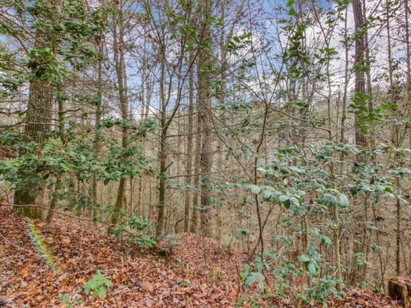 LOT 2 Laurel Overlook Rd, Ellijay, GA 30540