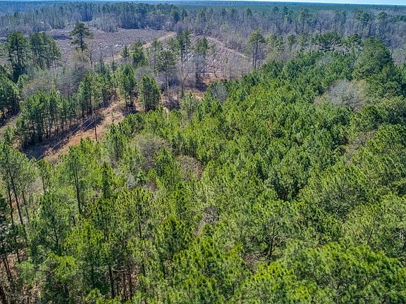 2nd image of 350 Plantation Dr
