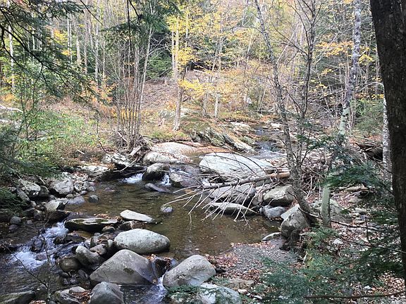 Lower brook