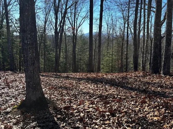 64 Thundering Hl, Murphy, NC 28906
