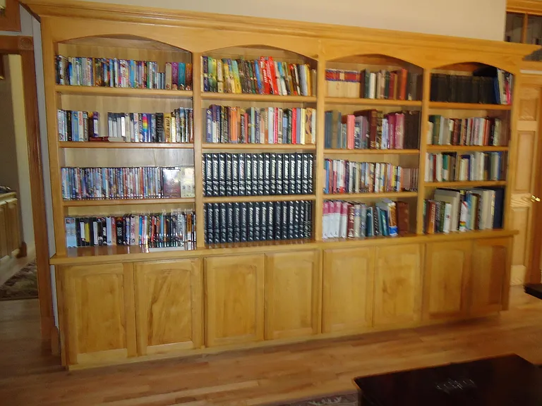Bookshelf in Library/ TV Room