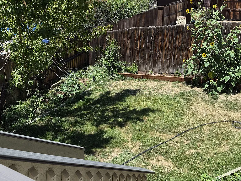Backyard with Garden area