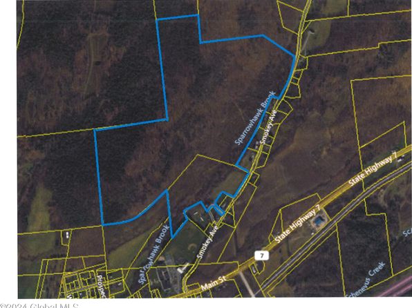 149 Smokey Avenue, Schenevus, NY 12155